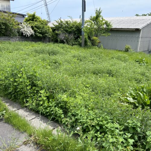 【梅津】海がすぐそばの土地
