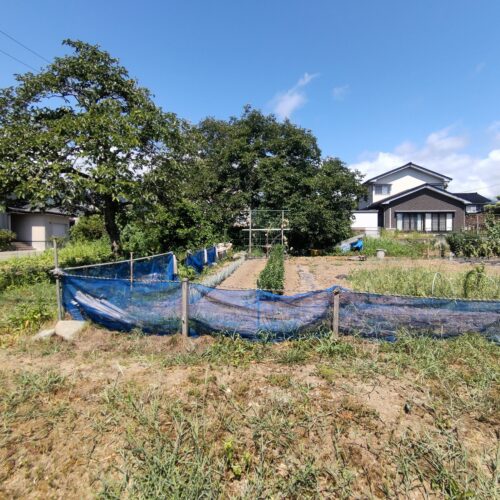 【加茂歌代】静かな住宅街の土地